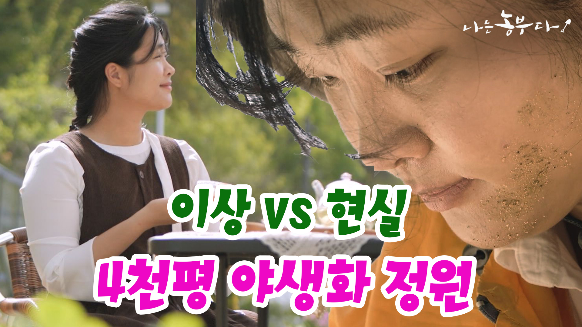 260604111610374-cc64d0b9-6301-47f0-8f16-f8a4a3cb399c.jpg
