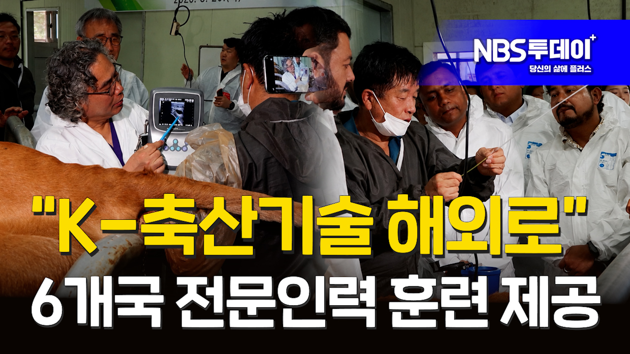 260825113012750-b33ed78e-90ca-4eb6-8776-5cdbe8abf493.jpg