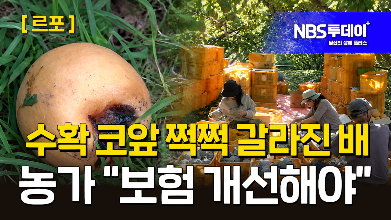 261012114813941-acb71424-2675-463f-9eda-46dcb7f06ca7.png